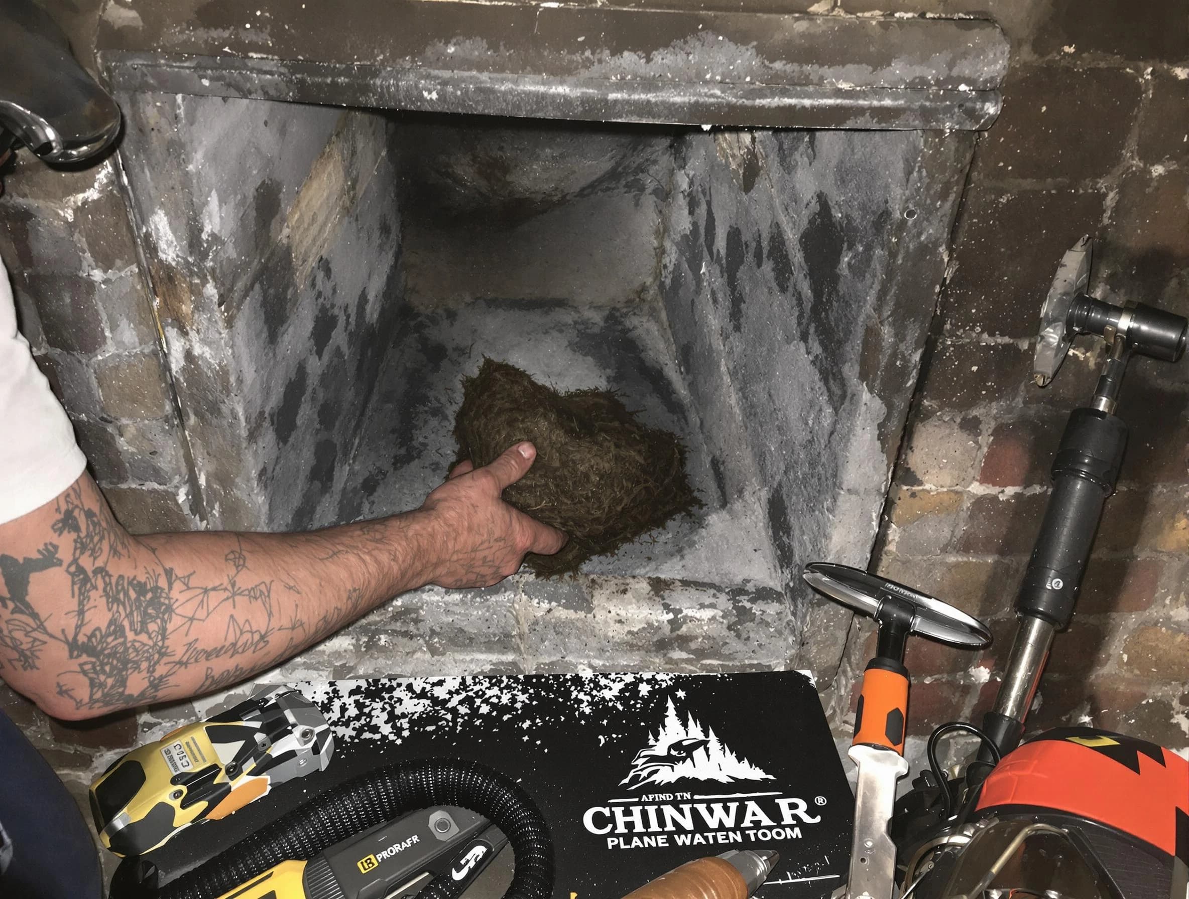 Collier Chimney Sweep safely removing debris and screening chimney in Collier, PA